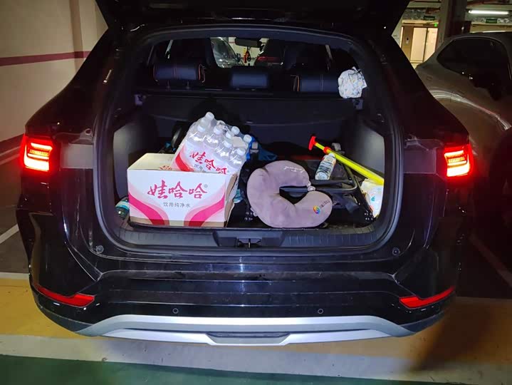 BYD Song Plus Hybrid/EV, 2023 — фото 4 из 9