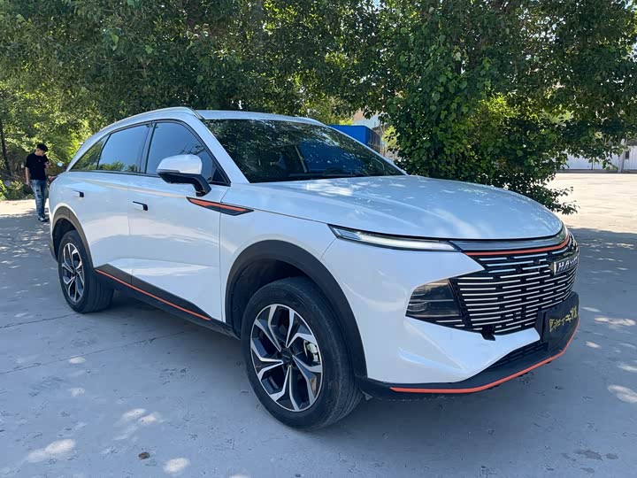 Haval F7 (Monster), 2023 — фото 3 из 9
