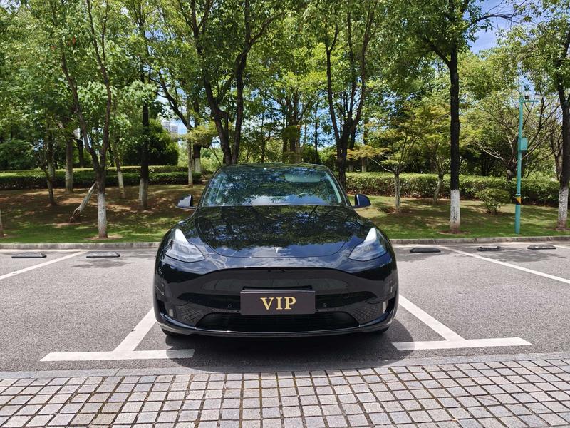 Tesla Model Y, 2023 — фото 2 из 11