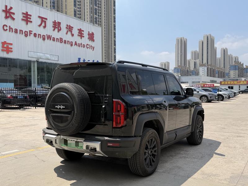 BYD FangChengBao Leopard 5, 2024 — фото 6 из 10