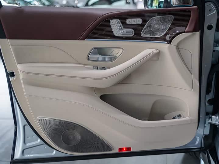 Mercedes-Benz Maybach GLS, 2022 — фото 9 из 9