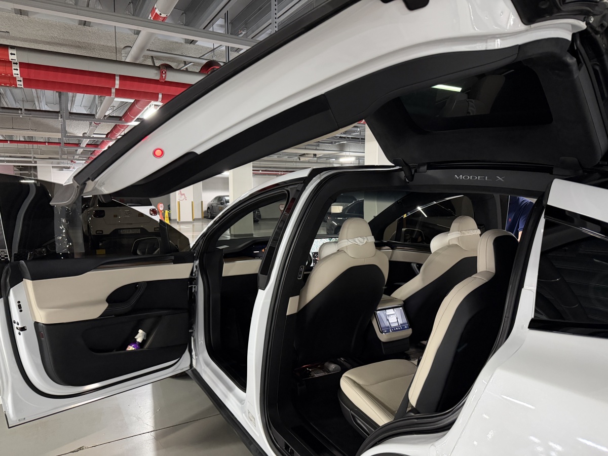 Tesla Model X, 2023 — фото 6 из 11