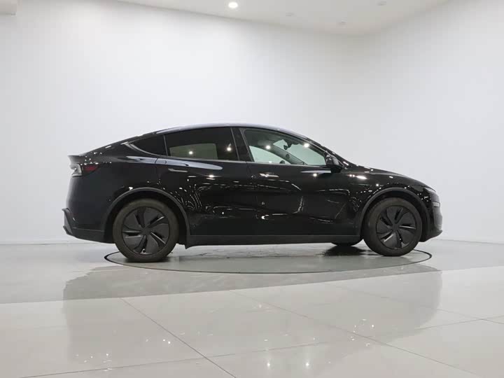 Tesla Model Y, 2025 — фото 9 из 9
