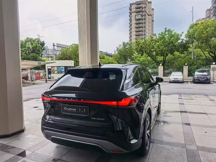 Lexus RX, 2023 — фото 9 из 9