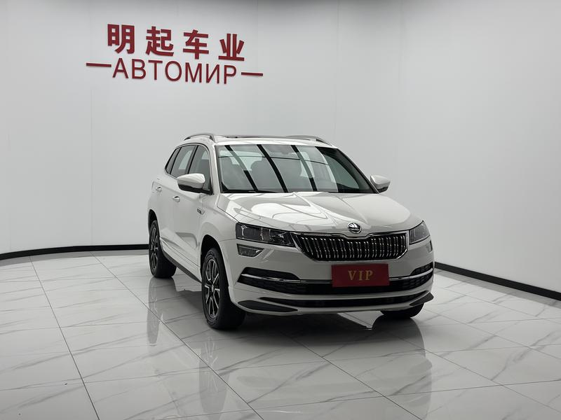 Skoda Karoq, 2023 — фото 3 из 12