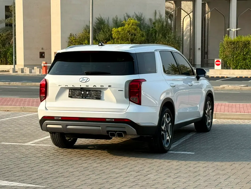 Hyundai Palisade, 2024 — фото 8 из 10