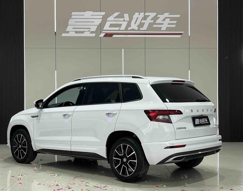 Skoda Karoq, 2023 — фото 4 из 10