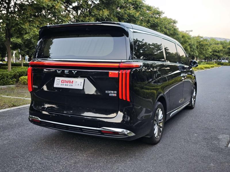 Wey 80 Hybrid, 2024 — фото 7 из 12