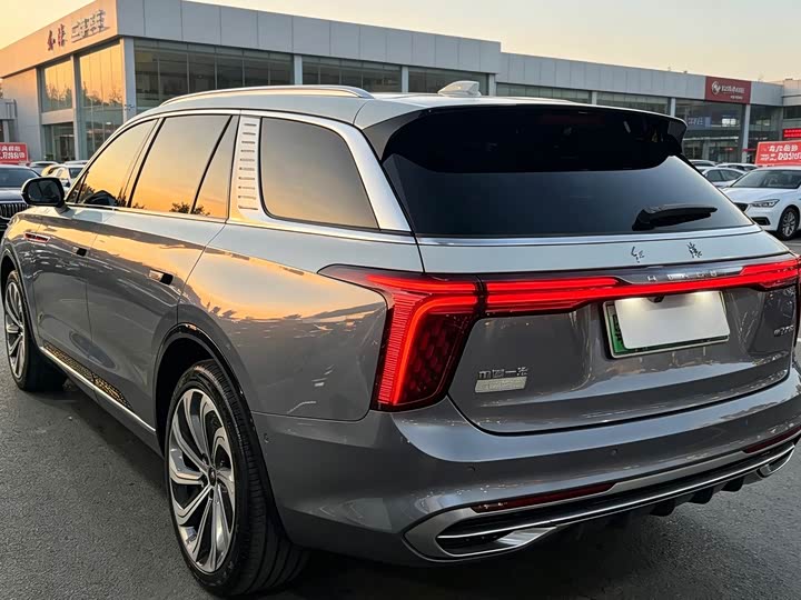 Hongqi E-HS9, 2021 — фото 6 из 9