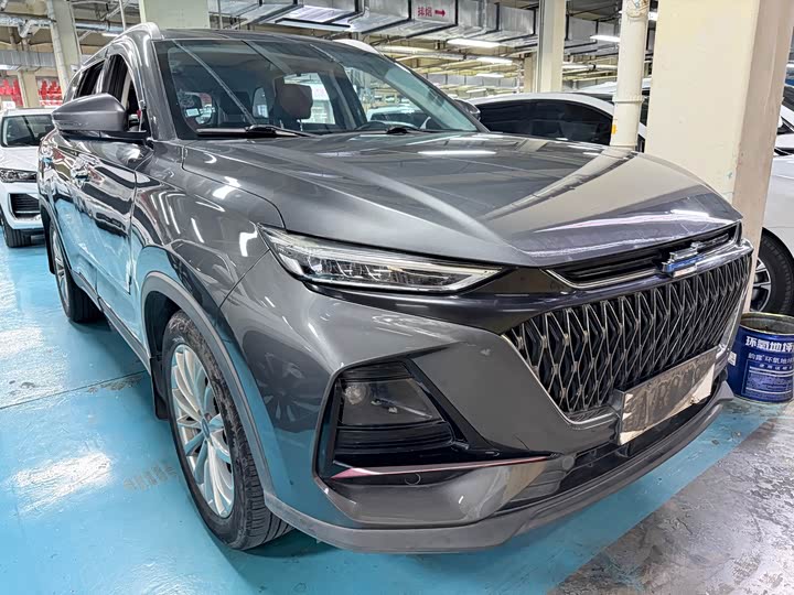 Changan Oshan X7 Plus, 2021 — фото 3 из 9