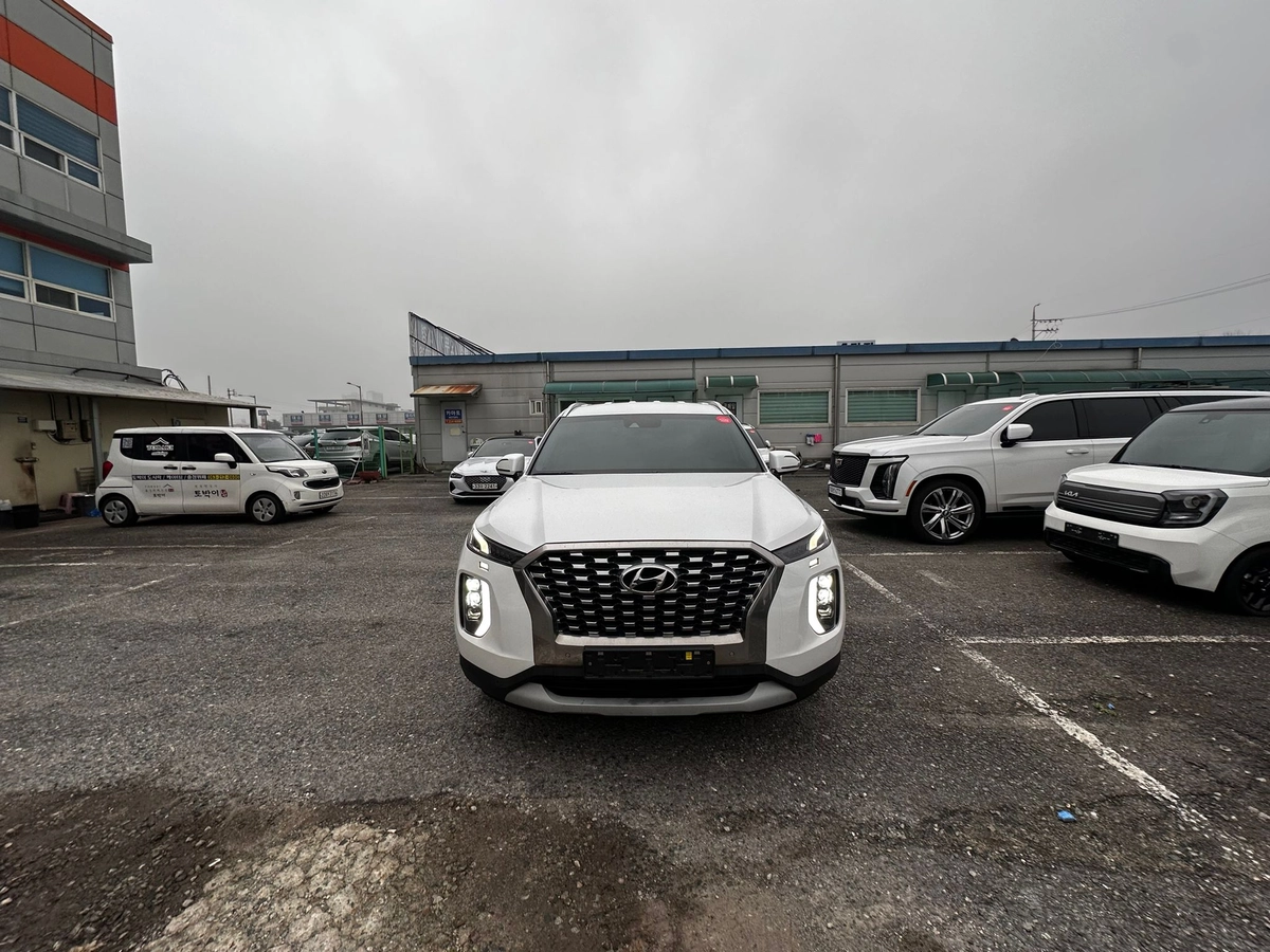 Hyundai Palisade, 2022 — фото 2 из 12