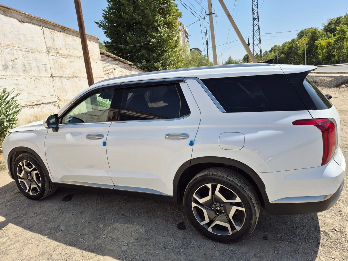 Hyundai Palisade, 2024 — фото 6 из 12