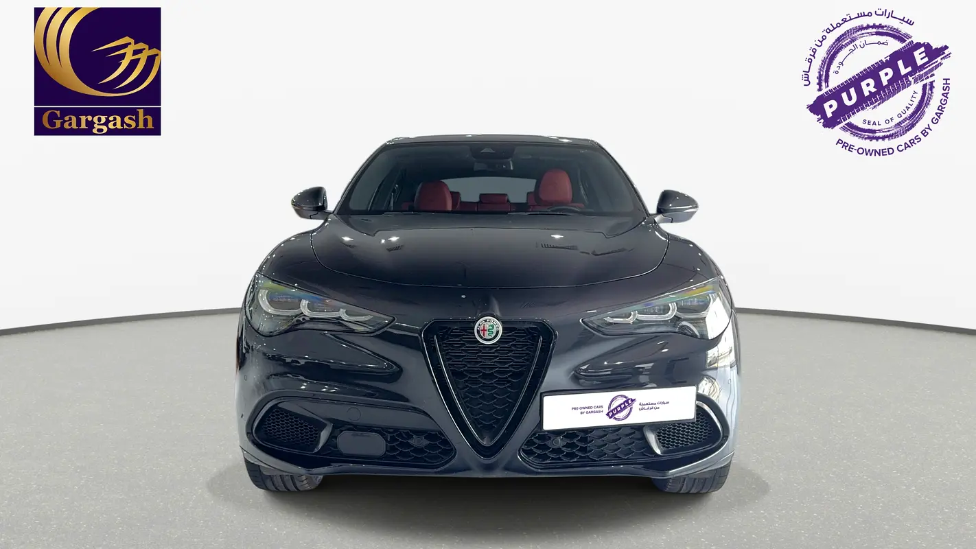 Alfa Romeo Stelvio, 2024 — фото 2 из 10