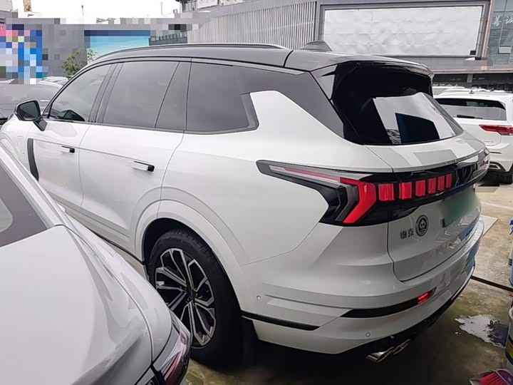 Lynk & Co 09 EM-P Hybrid, 2022 — фото 6 из 9