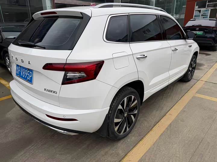 Skoda Karoq, 2021 — фото 9 из 9