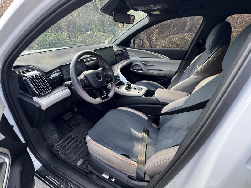 BYD Song Pro Hybrid, 2023 — фото 11 из 12
