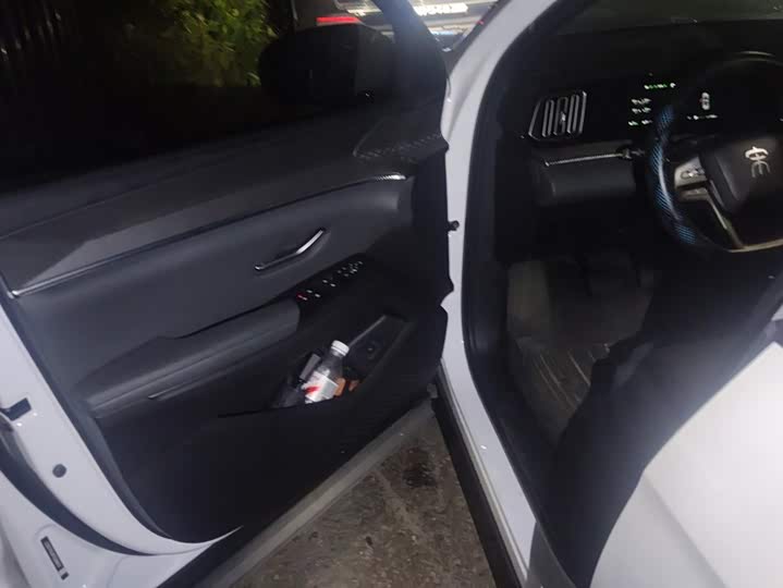 BYD Song Pro Hybrid, 2026 — фото 7 из 9
