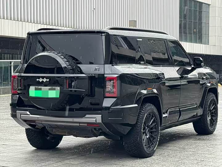 BYD FangChengBao Leopard 8, 2024 — фото 7 из 9