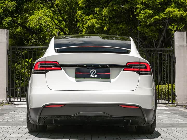Tesla Model X, 2023 — фото 5 из 9