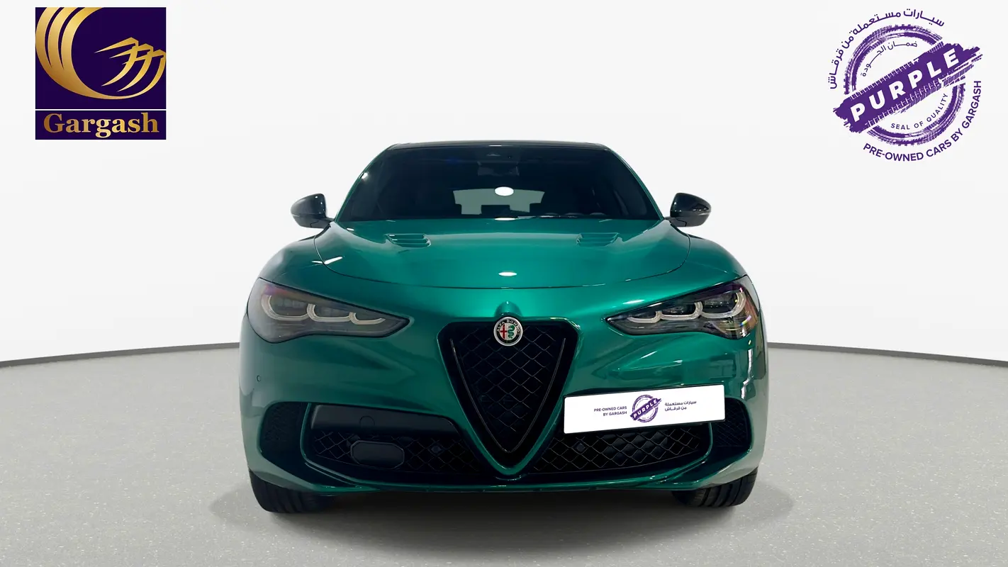 Alfa Romeo Stelvio, 2024 — фото 2 из 10