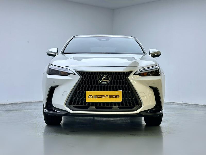 Lexus NX, 2023 — фото 2 из 12