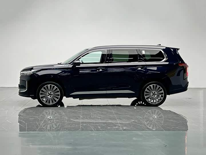 Exeed VX C-DM Hybrid, 2024 — фото 3 из 9