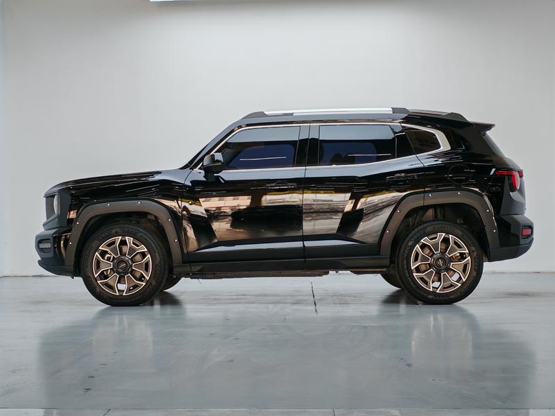 Haval H-Dog Hybrid, 2023 — фото 4 из 12