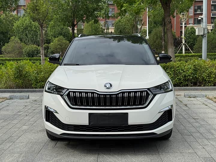 Skoda Kamiq, 2022 — фото 2 из 9