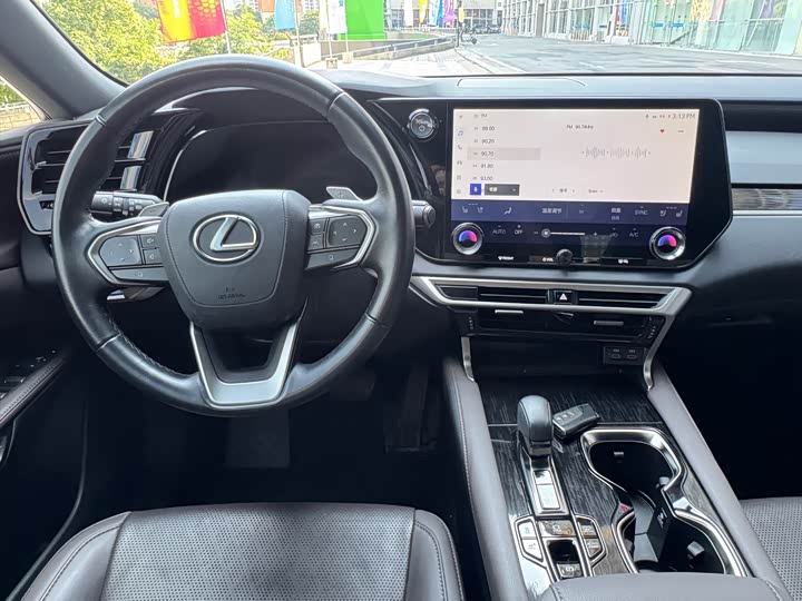 Lexus RX Hybrid, 2023 — фото 6 из 9