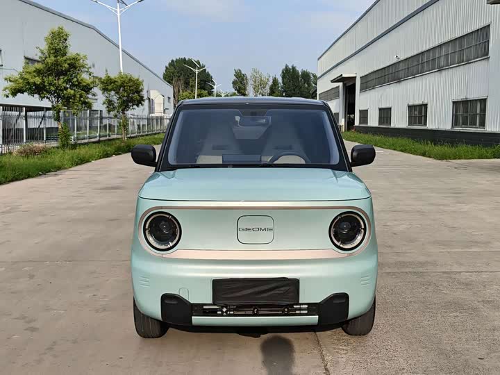 Geely Galaxy Panda Mini, 2023 — фото 2 из 9