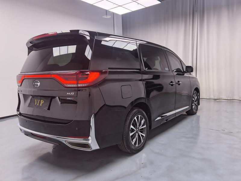 GAC Trumpchi M8, 2023 — фото 6 из 12