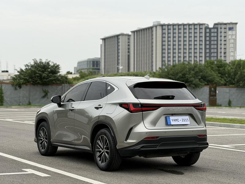 Lexus NX, 2022 — фото 5 из 12