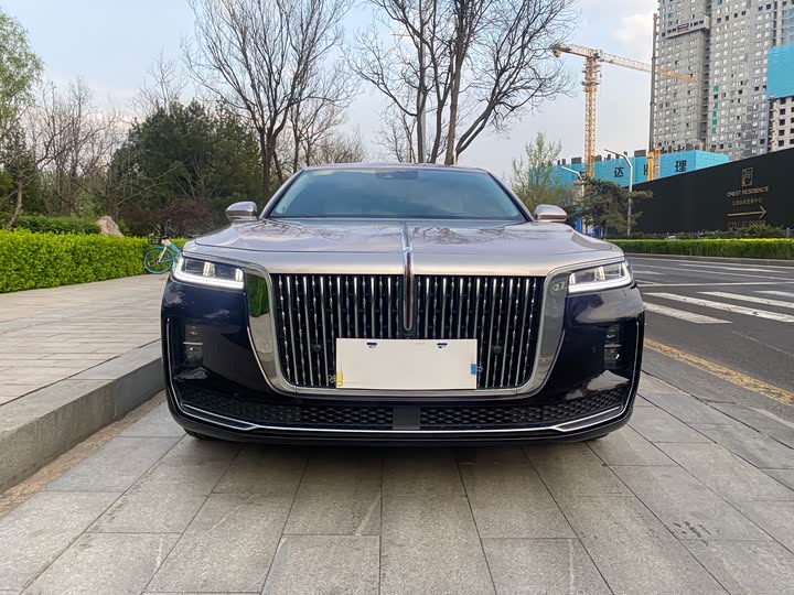 Hongqi H9, 2021 — фото 2 из 9