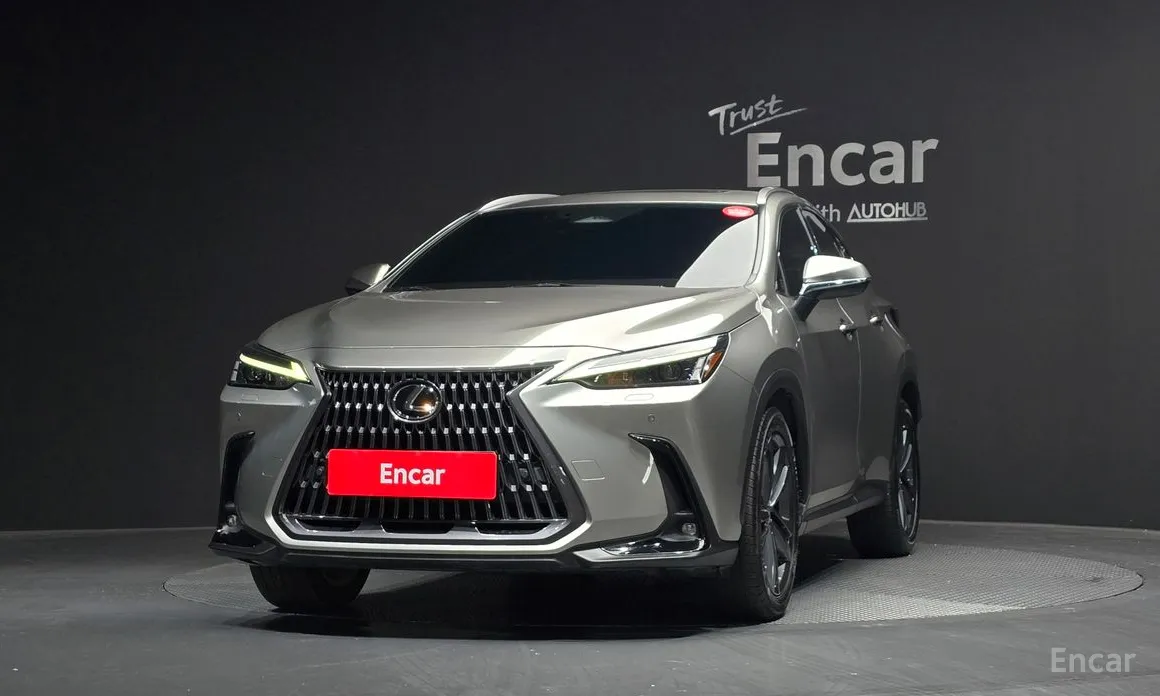 Lexus NX, 2022 — фото 3 из 12