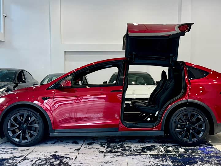 Tesla Model X, 2023 — фото 7 из 9