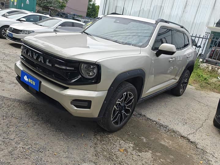 Haval H-Dog Hybrid, 2025 — купить в Рязани под ключ