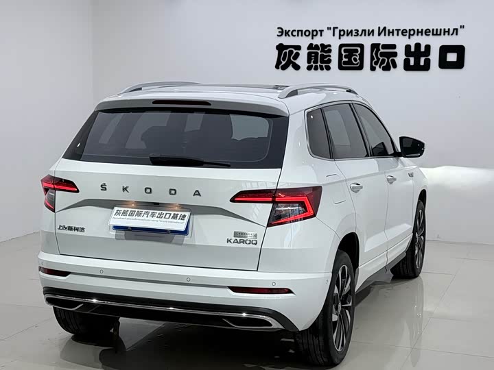 Skoda Karoq, 2023 — фото 6 из 9