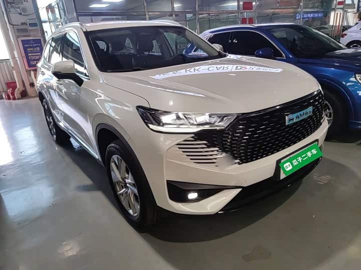 Haval H6 Hybrid, 2022 — фото 4 из 9