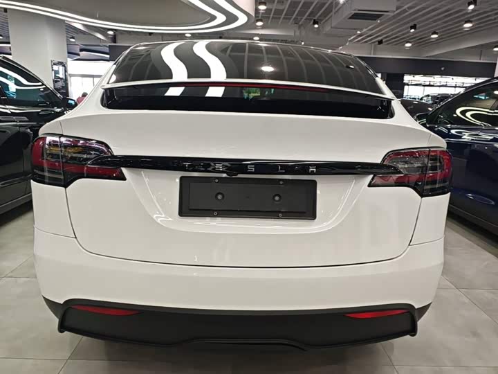 Tesla Model X, 2024 — фото 4 из 9