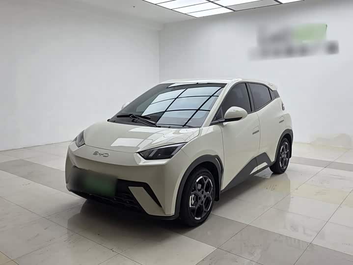 BYD Seagull, 2024 — купить в Рязани под ключ