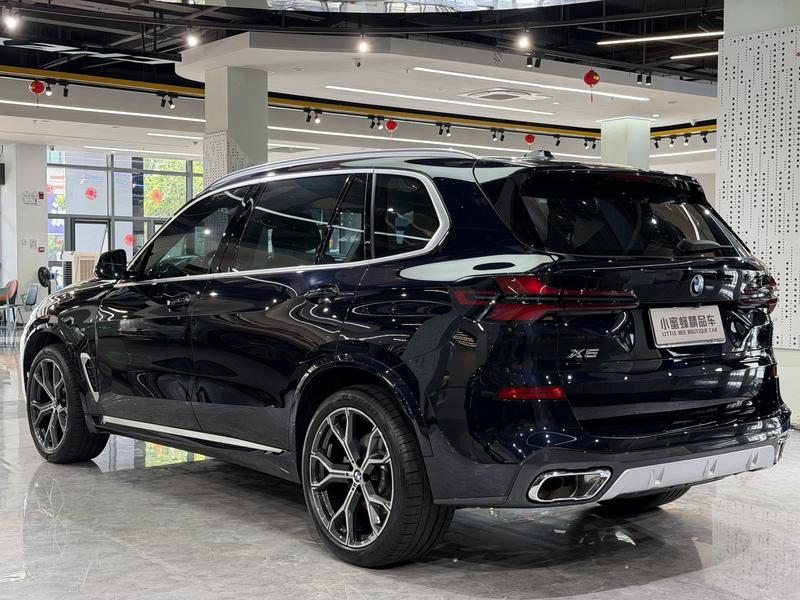 BMW X5, 2024 — фото 4 из 12