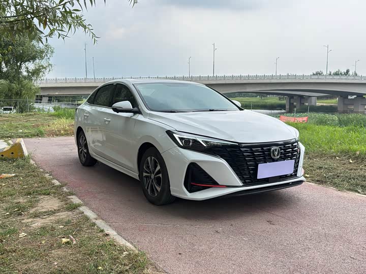 Changan Eado Plus, 2024 — фото 3 из 9