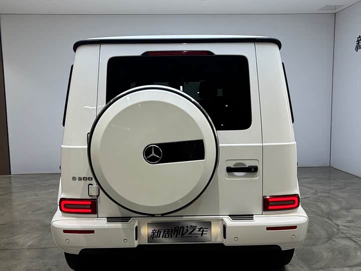 Mercedes-Benz G-Class, 2022 — фото 8 из 9