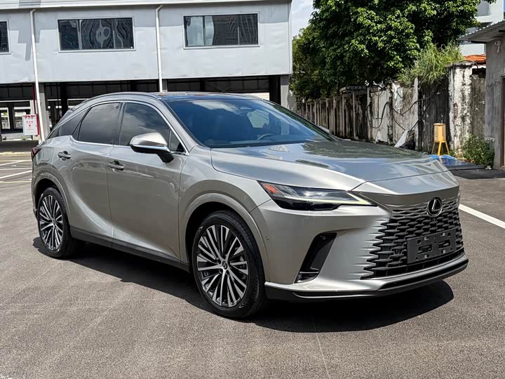 Lexus RX Hybrid, 2022 — фото 3 из 9