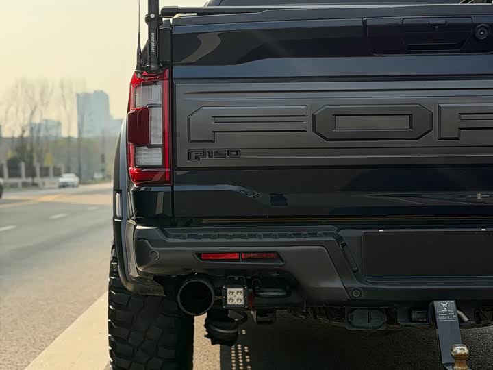 Ford F-150 Raptor, 2023 — фото 5 из 9