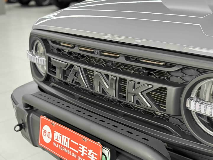 Tank 300 Hybrid, 2025 — фото 3 из 9