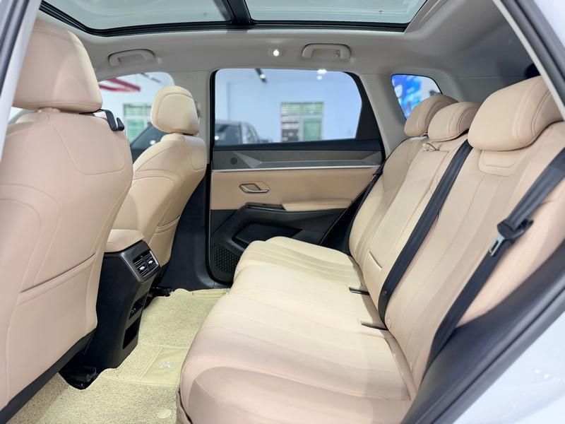 BYD Song Pro Hybrid, 2024 — фото 8 из 9