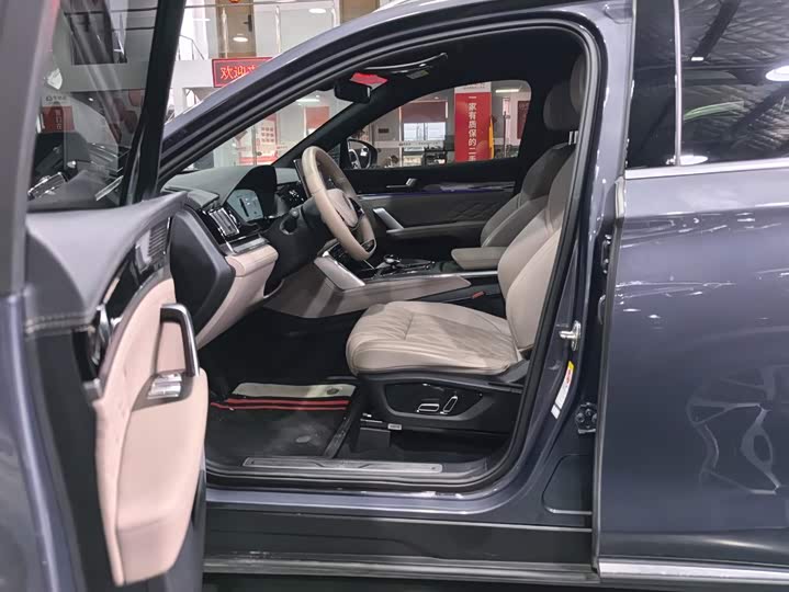 BYD Tang Hybrid/EV, 2023 — фото 9 из 9