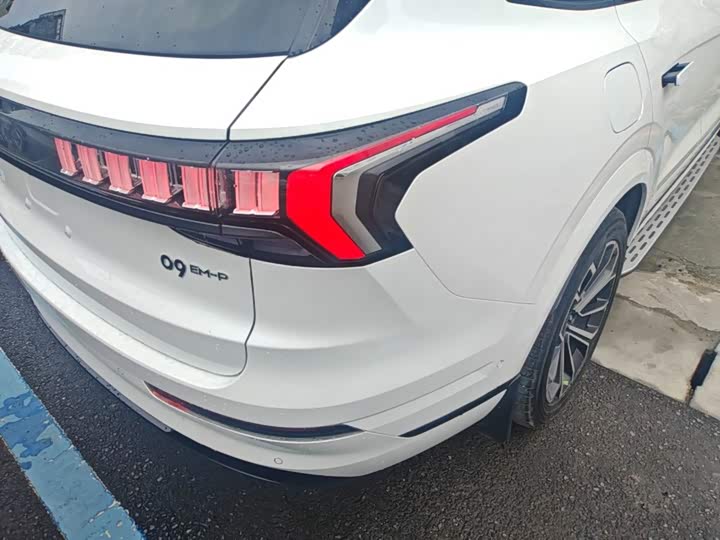 Lynk & Co 09 EM-P Hybrid, 2022 — фото 8 из 9