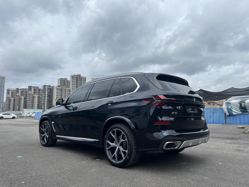 BMW X5, 2024 — фото 4 из 10
